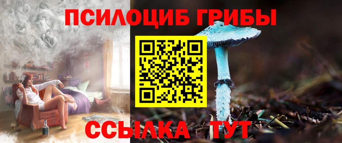 Галлюциногенные грибы MAGIC MUSHROOMS  дарнет шоп  Вход с VPN  Коммунар  Галлюциногенные грибы Psilocybine cubensis 