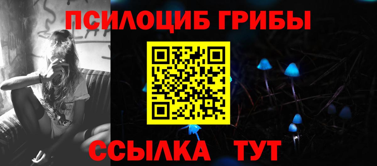 Псилоцибиновые грибы Cubensis Коммунар