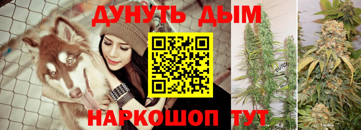 Каннабис сатива  Вход с VPN  Каннабис Ganja  Бошки марихуана сатива  Коммунар 